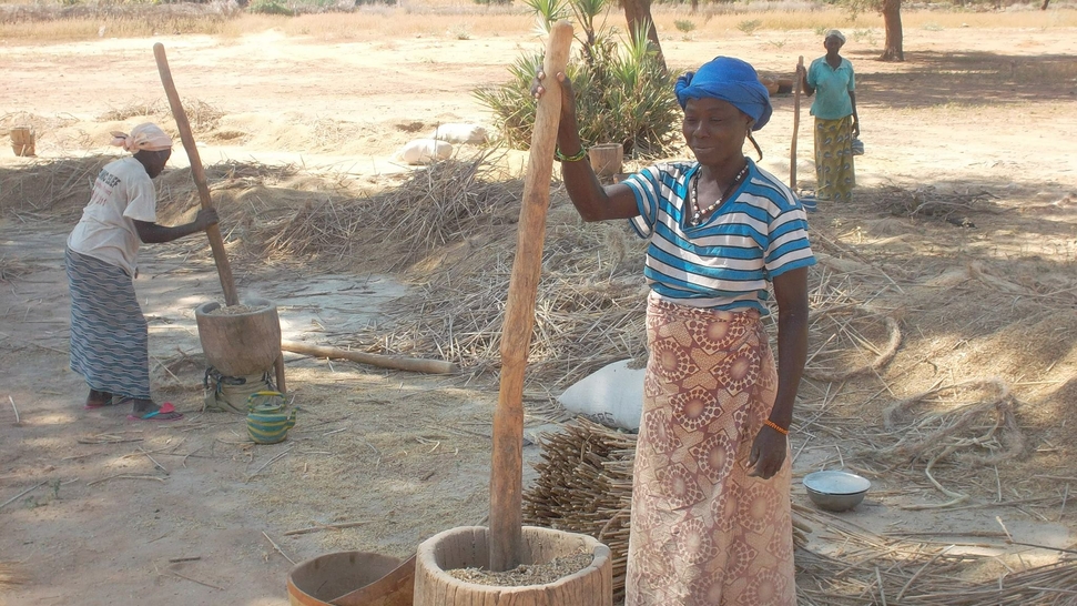 Goat Farming for Sustainable Livelihoods