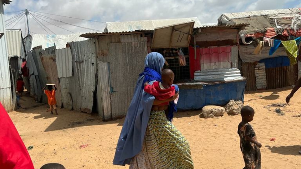 Provide Food to 100 IDP Households