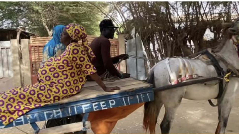 Support Pregnant Women in Rural Areas