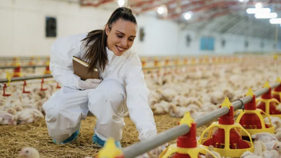 Wings of Opportunity for People with Disabilities