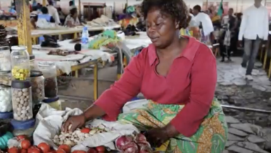Support for the Economic Empowerment of Rural Women in Agou