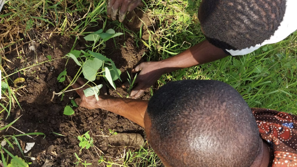 Agripreneur: Sustainability Campaign for 1.2K Indigenous Farmers