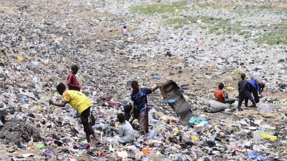 Green Up - Clean Up!