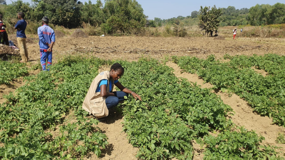 Empowering Women in Faranah: Training and Agricultural Equipment for Sustainable Growth