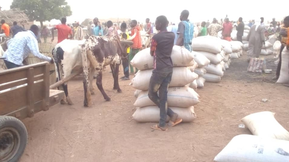 Rural Women's Agricultural Groups Mobilize Against Poverty and Food Insecurity