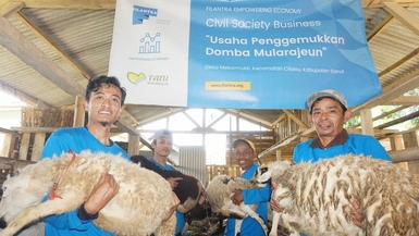 Donate Sheep to 100 Farmers
