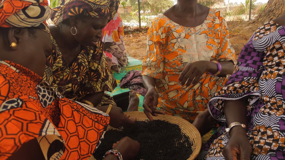 Empower Local Farmers