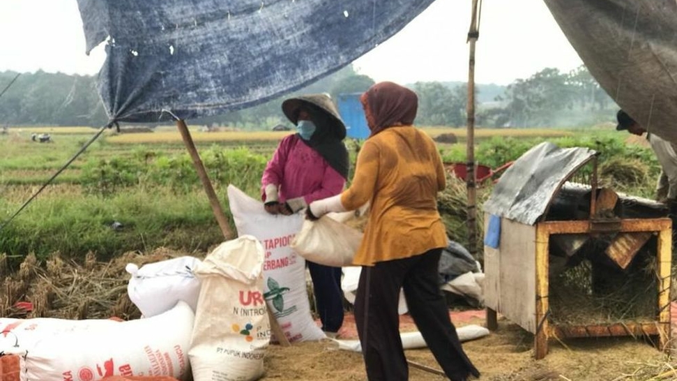 Support 500 Women Farmers