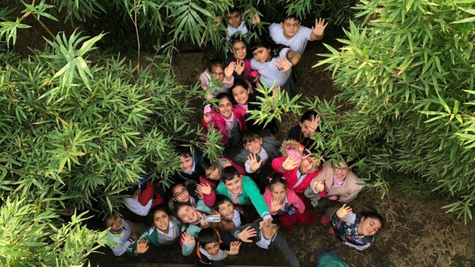 Provide Forest Bags to Children