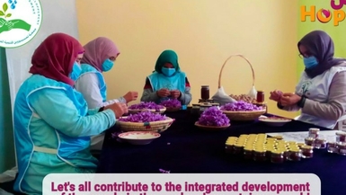 Help the women of Azilal, Morocco irrigate the saffron fields