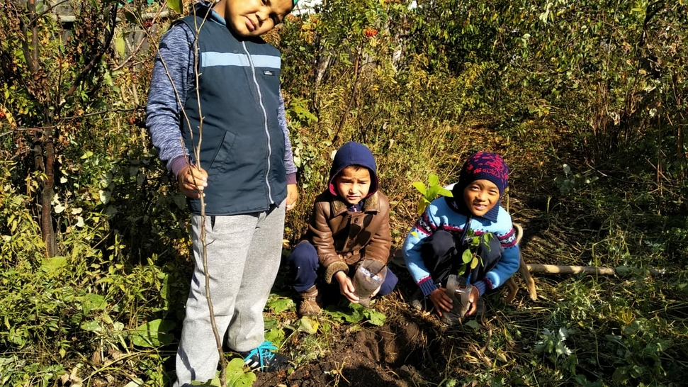 Help Plant Trees And Restore The Forests of Kazakhstan